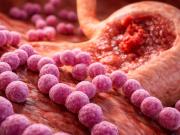 Está en todos lados: la bacteria común que la ciencia acaba de poner bajo la lupa por su impacto en el estómago