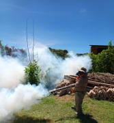 Sedes intensifica campañas de limpieza ante incremento de casos de chikungunya en el departamento