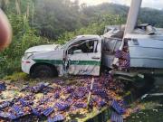 Camioneta cargada de huevos se estrelló 