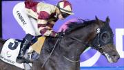 Brotherly Love remonta con gallardía en Meydan y suma 20 puntos hacia el Kentucky Derby