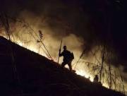 Ecocidio en Anzoátegui: Incendio provocado devasta 41 hectáreas del Parque José Tadeo Arreaza Calatrava