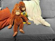 La estrategia de IKEA tras el caso de Punch: ¿Qué hicieron?