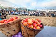EN FOTOS: las mejores postales del inicio de la Fiesta de la Manzana 2026 en Roca este viernes