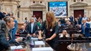El oficialismo pide la expulsión de la kirchnerista Florencia Carignano de la Cámara de Diputados