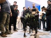 Desafíos de la IA: por qué debemos ser mejores