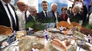 [Fotos] París inauguró una nueva edición de su feria internacional agrícola