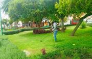 Áreas verdes en mantenimiento constate 