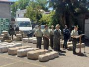 Incautan cargamento de marihuana valuado en más de un millón de dólares: un venezolano detenido