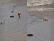 Un rescatista quiso salvar a un perro y murió junto al can arrastrados por el río
