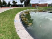 Descuido de mantenimiento en parques La Laguna y Las Flores