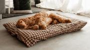 Ni el patio, ni la cocina: el lugar ideal donde colocar la cama de tu perro este verano