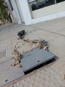 Video: lo que la tormenta sacó a flote en la avenida San Martín