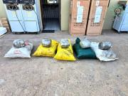 FELCN intercepta vehículo con marihuana en Santa Cruz