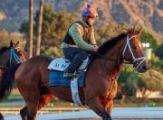 Journalism, regresó a los trabajos matutinos para la campaña de cuatro años