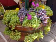 Casi toda la uva cosechada este año en Tarija está vendida solo queda el 20%