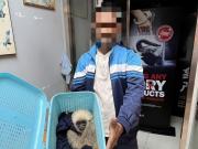 Escándalo en un aeropuerto de Tailandia: quiso subir al avión con animales vivos en su maleta y terminó arrestado