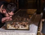 Exponen en Italia los restos de San Francisco de Asís 800 años después