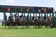 Gulfstream Park, está en la ruta al Kentucky Derby y Kentucky Oaks para cerrar febrero