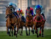 Regresa la leyenda: Romantic Warrior, el caballo más rico del mundo busca la segunda pata de la triplecorona de Hong Kong