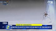 Cochabamba lanza campaña preventiva contra el chikungunya en el municipio de Cercado