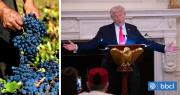 Industria frutera hace llamado urgente a Boric y Kast para abordar nuevo arancel global de Trump