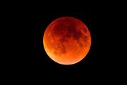 El 3 de marzo llega la “Luna de Sangre”: a qué hora y cómo ver el eclipse lunar en Mendoza