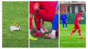Viral: en el fútbol de Turquía le dieron un pelotazo a una gaviota y un jugador tuvo que reanimarla con RCP