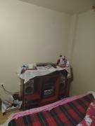 Entre ortigas y silencio