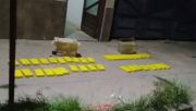 Orán: detienen a un tucumano que llevaba 38 kilos de cocaína en cajas de cartón