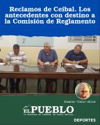 Reclamos de Ceibal. Los antecedentes con destino a la Comisión de Reglamento ‣ Eleazar José Silva