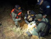 Cuerpos de seguridad asestaron duro golpe al tráfico de drogas en Zulia