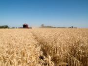 Pese a los altibajos, la actividad económica creció 4,4% en 2025