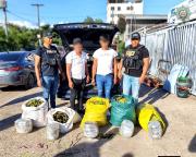 Golpe al narcotráfico, hallan 3.015 narcocápsulas de droga