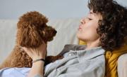 Qué significa hablar con las mascotas, según la psicología