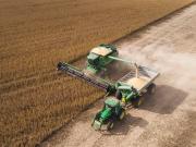 La actividad económica subió en diciembre y cerró 2025 con un incremento de 4,4 %