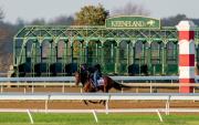 El Central Bank Ashland G1 de $750,000 en Keeneland atrae a 65 nominadas lideradas por la campeona dosañera Super Corredora