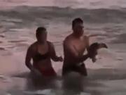 Monte Hermoso: indignación por una pareja que sacó a un pingüino del mar para tomarse fotos