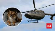 Perro fue el único sobreviviente de accidente en helicóptero que dejó 15 muertos en Perú