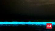 Playa brillante en Atacama: mar se ilumina con bioluminiscencia en Caldera