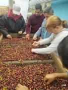 Caficultores de Boconó se capacitan para elevar la calidad del café venezolano e impulsar su comercialización