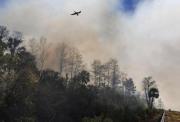 Alerta en Florida: Incendio forestal en Everglades amenaza viviendas y carreteras