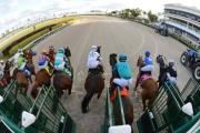 Gulfstream Park inicia la semana 14 del Championship Meet con diez competencias