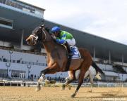 Sentencia de velocidad: One Nine Hundred y su asalto final al Grado 3 este sábado en New York