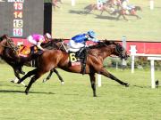 Cita con la Historia: ¿Podrá Fort Washington con Junior Alvarado repetir su hazaña de $175,000?