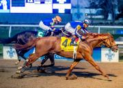 Paladin y Further Ado, nominados para el Toyota Blue Grass (G1) de $1,25 millones en Keeneland