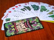 La Vendimia para principiantes: la guía que ilustra los códigos de la fiesta máxima de Mendoza