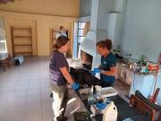 A Buen Ritmo se Desarrollan las Castraciones Gratuitas de Canes