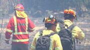 Brigadista de CONAF resulta lesionado en incendio forestal en la cordillera de Linares