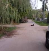 Expuestos al delito: feroz asalto en una casa de Arturo Seguí