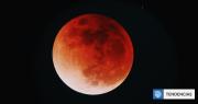 Eclipse lunar de marzo: cuándo es y cómo se verá desde Chile